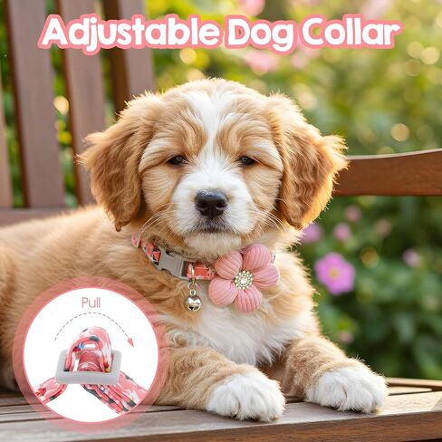 Small Dog Collar with Flower, Puppy Collar for Girl Dog Collars for Small Dogs Cute Collars with Bell, Adjustable Length Neckband (Pink) in Saudi Arabia
