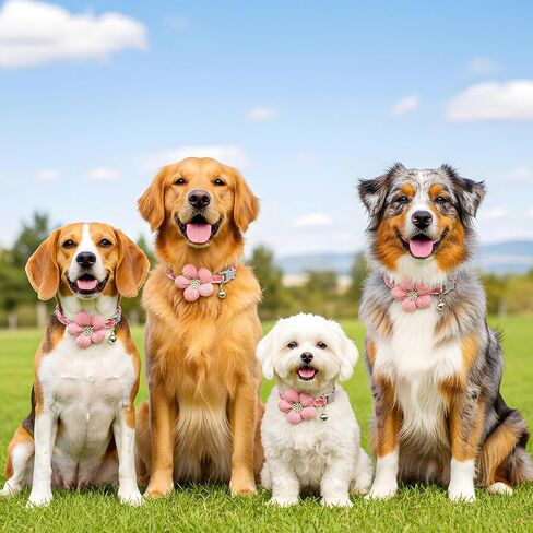 Small Dog Collar with Flower, Puppy Collar for Girl Dog Collars for Small Dogs Cute Collars with Bell, Adjustable Length Neckband (Pink) in Saudi Arabia