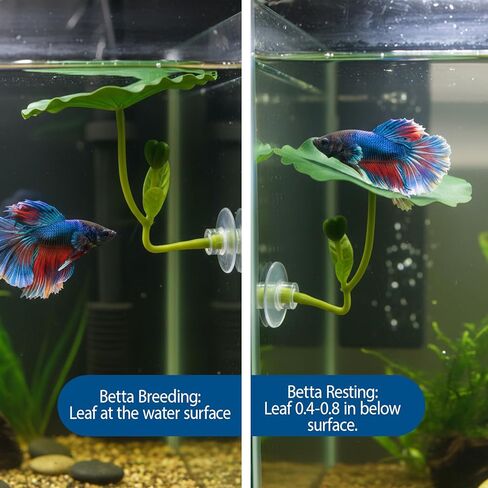 8-Piece Set Betta Fish Toys with Leaves, Rings and Balls for Betta Fish Hammock and Fish Tank Toy, Durable Material for Aquatic Play in Kuwait