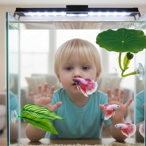 8-Piece Set Betta Fish Toys with Leaves, Rings and Balls for Betta Fish Hammock and Fish Tank Toy, Durable Material for Aquatic Play in Kuwait