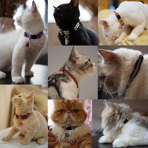 4 Pack Reflective Cat Collar Breakaway with Bell, Safety Buckle Kitten Collar, Breakaway Cat Collars,Adjustable 7.5''-12.5'' Pet Collar Pet Supplies(Multicolor) in Saudi Arabia