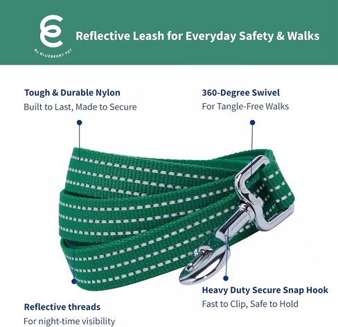مقود الكلاب من Blueberry Pet Essentials عاكس للضوء Better Basics، أخضر داكن، 5 أقدام × 5/8 بوصة، صغير، مقاود للكلاب in Kuwait