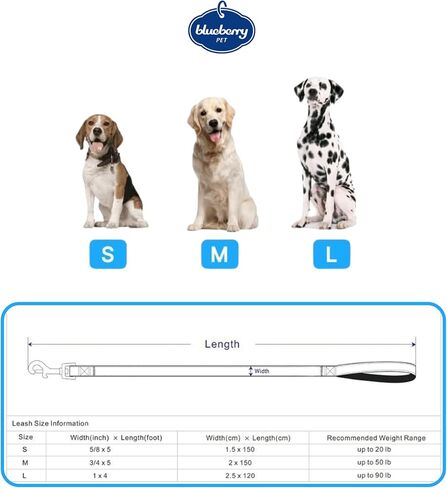 مقود الكلاب من Blueberry Pet Essentials عاكس للضوء Better Basics، أخضر داكن، 5 أقدام × 5/8 بوصة، صغير، مقاود للكلاب in Kuwait
