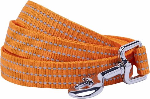 مقود الكلاب من Blueberry Pet Essentials عاكس للضوء Better Basics، أخضر داكن، 5 أقدام × 5/8 بوصة، صغير، مقاود للكلاب in Kuwait