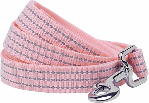 مقود الكلاب من Blueberry Pet Essentials عاكس للضوء Better Basics، أخضر داكن، 5 أقدام × 5/8 بوصة، صغير، مقاود للكلاب in Kuwait