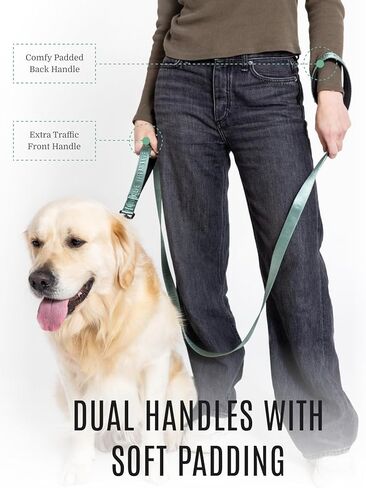 2025 New Edition, Fei and Eve Classic Dog Leash - 6FT, Heavy Duty 210D Nylon, Green in Saudi Arabia