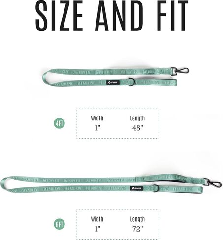 2025 New Edition, Fei and Eve Classic Dog Leash - 6FT, Heavy Duty 210D Nylon, Green in Saudi Arabia
