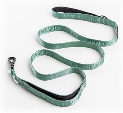 2025 New Edition, Fei and Eve Classic Dog Leash - 6FT, Heavy Duty 210D Nylon, Green in Saudi Arabia