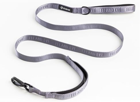 2025 New Edition, Fei and Eve Classic Dog Leash - 6FT, Heavy Duty 210D Nylon, Green in Saudi Arabia