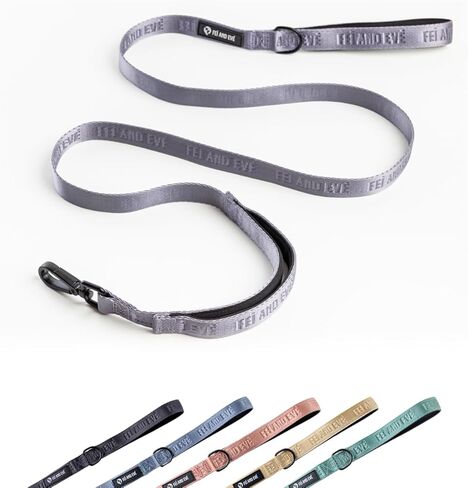 2025 New Edition, Fei and Eve Classic Dog Leash - 6FT, Heavy Duty 210D Nylon, Green in Saudi Arabia