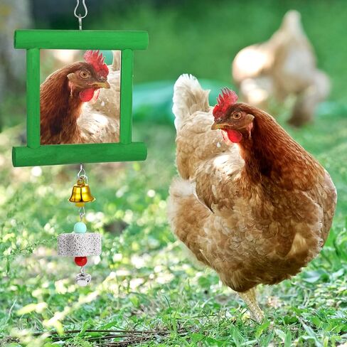 ألعاب مرآة الدجاج مع أجراس، مرآة متأرجحة معلقة، لعبة النقر الخشبية، أحجار المولي لطحن المنقار للدجاج والطيور والببغاوات والإكسيليفون ولعبة سيباك تاكرو in Kuwait