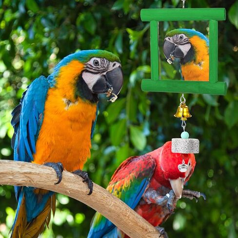ألعاب مرآة الدجاج مع أجراس، مرآة متأرجحة معلقة، لعبة النقر الخشبية، أحجار المولي لطحن المنقار للدجاج والطيور والببغاوات والإكسيليفون ولعبة سيباك تاكرو in Kuwait