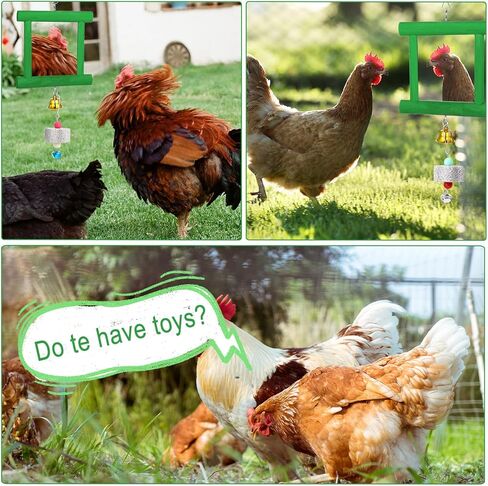 ألعاب مرآة الدجاج مع أجراس، مرآة متأرجحة معلقة، لعبة النقر الخشبية، أحجار المولي لطحن المنقار للدجاج والطيور والببغاوات والإكسيليفون ولعبة سيباك تاكرو in Kuwait