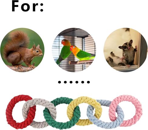 ملحقات قفص السكر المنزلق المعلقة بحبل قطني وحلقة تسلق ملحقات القفص وألعاب التمرين لطائرات السكر الشراعية والفئران والسناجب والطيور والحيوانات الأليفة الصغيرة in Kuwait