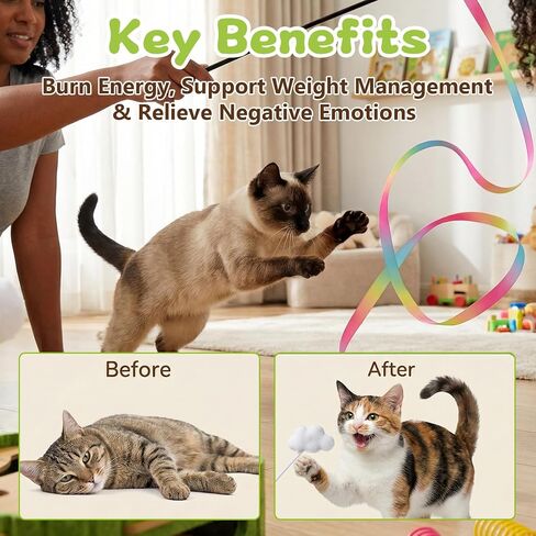 15 Pcs Cat Scratch Puzzle Box, Cat Nail File Enrichment Toy Intelligence Treat Puzzle Feeder Box for Indoor Kitten in Kuwait