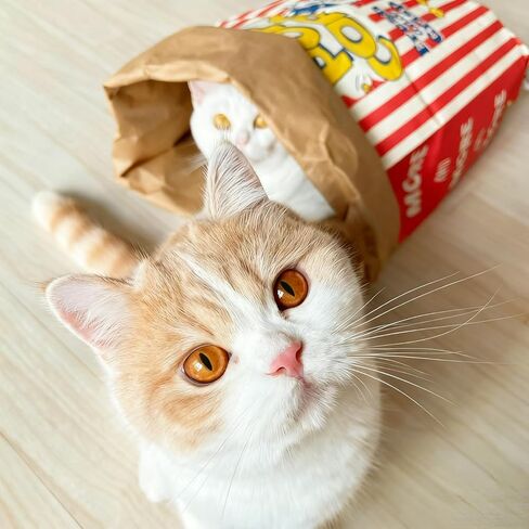 لعبة القطة الصغيرة، حقيبة الفشار، لعبة الاختباء والبحث، ورق الكرافت، كبيرة الحجم، قابلة للطي، هدية للقطط هدية لعيد الميلاد (حقيبة ورق الفشار) in Kuwait