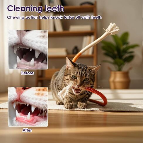6Pcs Cat Chew Rope Toy Pet Chew Toys Interactive Cat Nip Kicker Toy Bent Cats Rope Toys Bite-Proof Playthings Kitten ChewRopes Pet Supplies for All Breeds Cats Teeth Cleaning Stress Relief in Saudi Arabia