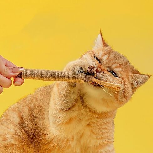 Natural Sisal Cat Teething Toy, Interactive Indoor Kitten Chew Stick with Silvervine, Dental Care Rope Wrapped Design for Aggressive Chewers, 1 Pack in Saudi Arabia