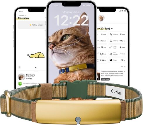 Health Tracker for Cats - Smart Cat Collar with Safety Breakaway Buckle for Indoor Cats, Wellness Alerts, Real-time Monitoring (Forest, XS) in Saudi Arabia