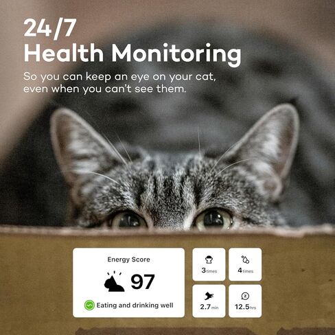 Health Tracker for Cats - Smart Cat Collar with Safety Breakaway Buckle for Indoor Cats, Wellness Alerts, Real-time Monitoring (Forest, XS) in Saudi Arabia