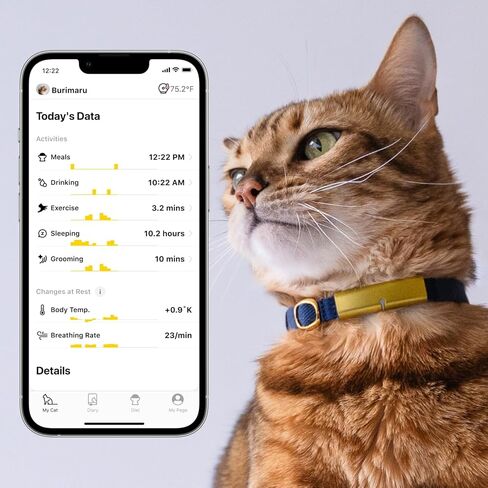 Health Tracker for Cats - Smart Cat Collar with Safety Breakaway Buckle for Indoor Cats, Wellness Alerts, Real-time Monitoring (Forest, XS) in Saudi Arabia