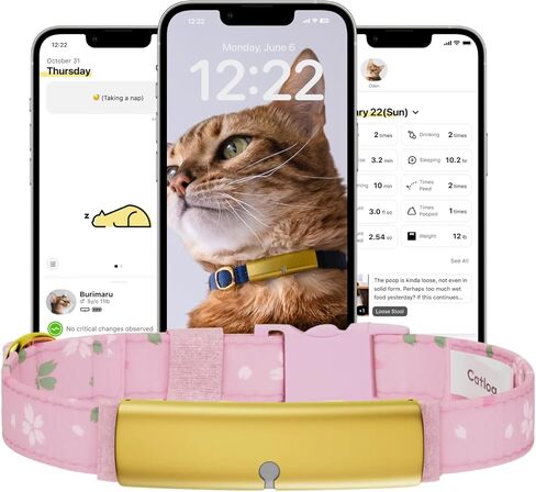 Health Tracker for Cats - Smart Cat Collar with Safety Breakaway Buckle for Indoor Cats, Wellness Alerts, Real-time Monitoring (Forest, XS) in Saudi Arabia
