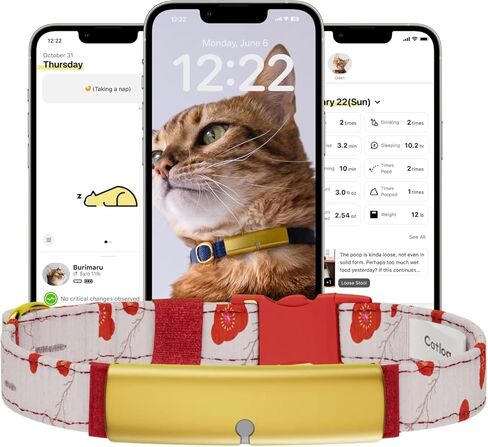 Health Tracker for Cats - Smart Cat Collar with Safety Breakaway Buckle for Indoor Cats, Wellness Alerts, Real-time Monitoring (Forest, XS) in Saudi Arabia