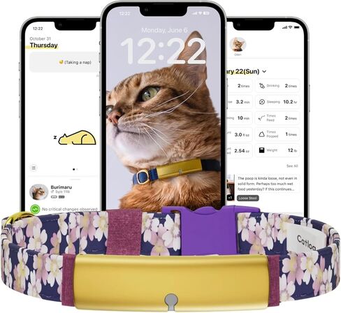 Health Tracker for Cats - Smart Cat Collar with Safety Breakaway Buckle for Indoor Cats, Wellness Alerts, Real-time Monitoring (Forest, XS) in Saudi Arabia