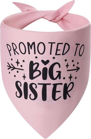 تمت ترقيته إلى Big Sister Dog Bandana Large قطعة واحدة، وشاح وردي مثلث قابل للتعديل، إعلان الحمل، مولود جديد للعائلة. in Kuwait