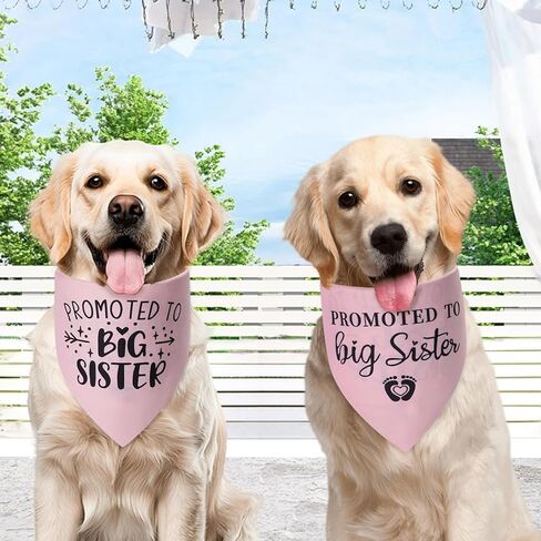 تمت ترقيته إلى Big Sister Dog Bandana Large قطعة واحدة، وشاح وردي مثلث قابل للتعديل، إعلان الحمل، مولود جديد للعائلة. in Kuwait