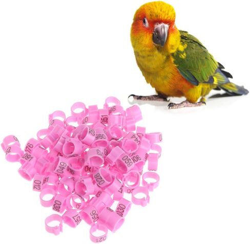 100Pcs 10mm Identify Ring Carrier Pigeon Training Supplies Leg Number Bird Bands in Saudi Arabia