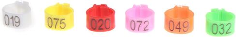 100Pcs 10mm Identify Ring Carrier Pigeon Training Supplies Leg Number Bird Bands in Saudi Arabia