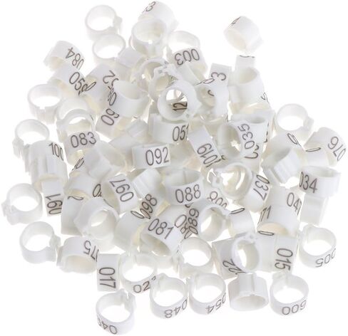 100Pcs 10mm Identify Ring Carrier Pigeon Training Supplies Leg Number Bird Bands in Saudi Arabia