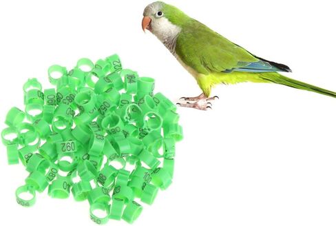 100Pcs 10mm Identify Ring Carrier Pigeon Training Supplies Leg Number Bird Bands in Saudi Arabia