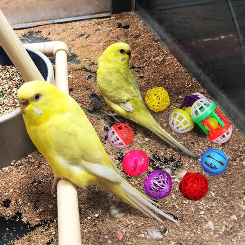 Garneck 12 Pack Parrot Toys Parakeet Bird Chew Balls Foraging Balls Training Bell for Small Birds in Saudi Arabia
