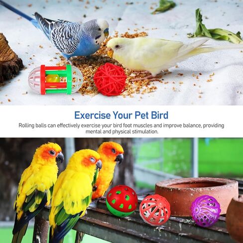 Garneck 12 Pack Parrot Toys Parakeet Bird Chew Balls Foraging Balls Training Bell for Small Birds in Saudi Arabia