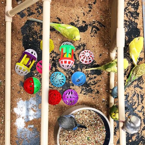 Garneck 12 Pack Parrot Toys Parakeet Bird Chew Balls Foraging Balls Training Bell for Small Birds in Saudi Arabia