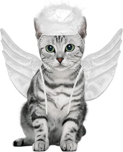 زي Totority Angel Wings للحيوانات الأليفة، مجموعة أجنحة الملاك القابلة للتعديل للقطط والكلاب الصغيرة، حفلة عيد الهالوين التنكرية، ملابس ناعمة للحيوانات الأليفة لالتقاط الصور in Saudi Arabia