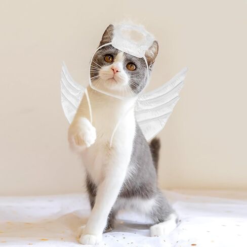 زي Totority Angel Wings للحيوانات الأليفة، مجموعة أجنحة الملاك القابلة للتعديل للقطط والكلاب الصغيرة، حفلة عيد الهالوين التنكرية، ملابس ناعمة للحيوانات الأليفة لالتقاط الصور in Saudi Arabia