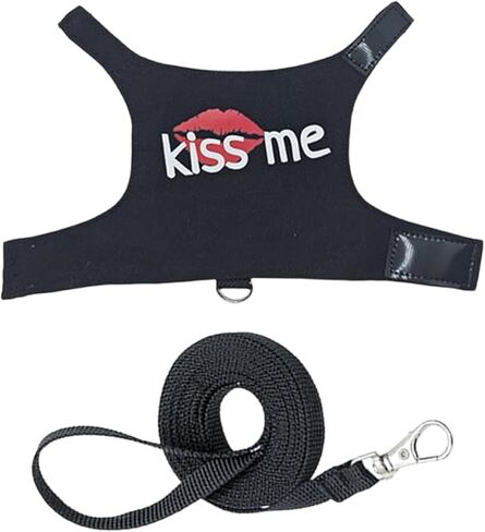 Lizard Leashes,Breathable Luminous Canvas Adjustable Clothing Supplies | Lizard Harness and Leashes,for Walking Camping Outdoor Night Travel Daily Car Airplane Outing Shopping Taxi Public in Saudi Arabia