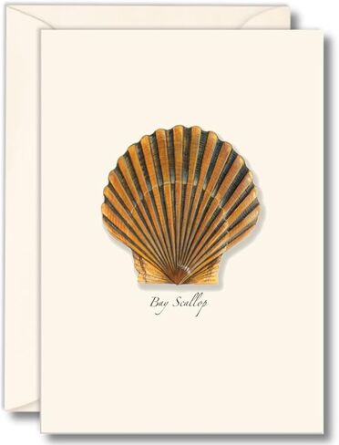 مجموعة بطاقات Earth Sky + Water - Bay Scallop Notecard - 8 بطاقات فارغة مع مظاريف in Kuwait