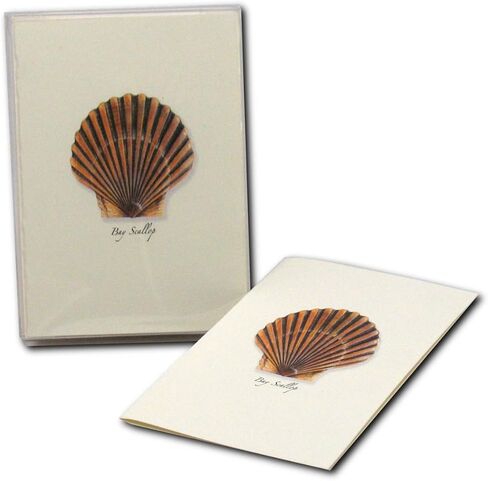 مجموعة بطاقات Earth Sky + Water - Bay Scallop Notecard - 8 بطاقات فارغة مع مظاريف in Kuwait