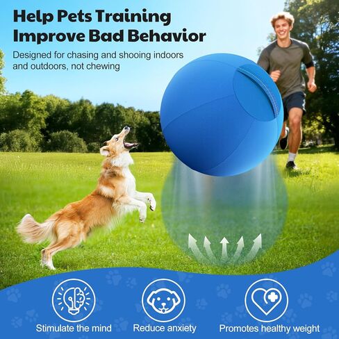 كرة الرعي للكلاب مقاس 25 بوصة من Happypaw - مقاومة معززة للمضغ ومواد شديدة التحمل، لعبة متينة للكلاب، معدات خفة الحركة للرعاة الأستراليين والماشية والكولي الحدودية والسلالات الصغيرة والمتوسطة in Kuwait