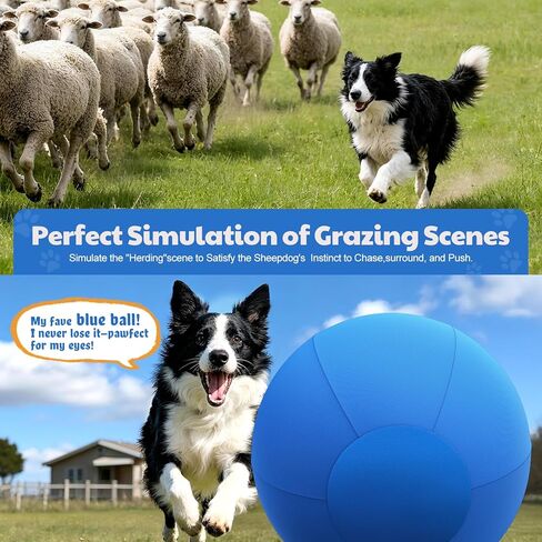 كرة الرعي للكلاب مقاس 25 بوصة من Happypaw - مقاومة معززة للمضغ ومواد شديدة التحمل، لعبة متينة للكلاب، معدات خفة الحركة للرعاة الأستراليين والماشية والكولي الحدودية والسلالات الصغيرة والمتوسطة in Kuwait