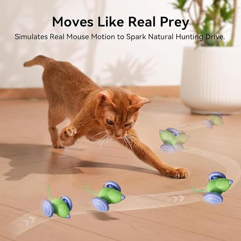Interactive Cat Toys for Indoor Cats, Kitten Toys Like a Mouse, Rechargeable Cat Mouse Toy with Tail & Lights, Cat Toys for Bored Indoor Adult Cats, Automatic Cat Toy for Enrichment Exercise in Saudi Arabia