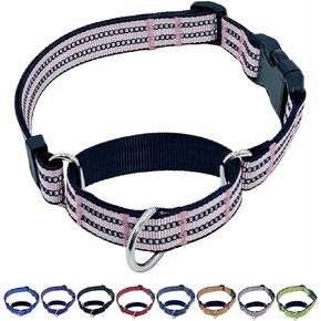 Martingale Dog Collars with Quick Release Buckle, Heavy Duty Nylon Reflective Dog Collar, NO Pull Walking Training Collar for Large, Medium, Small Dogs (Purple, Medium)