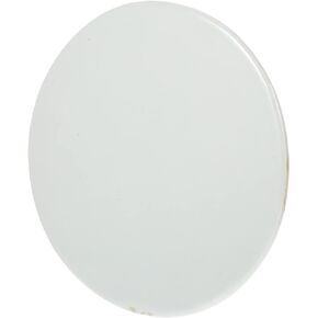 Sewroro Round Serving Platter Round White Ceramic Tiles DIY Painting Ceramic Plate Hand- painted Ceramic Tiles Porcelain Mixing Tray Artists Painting Supplies White Dinner Plates