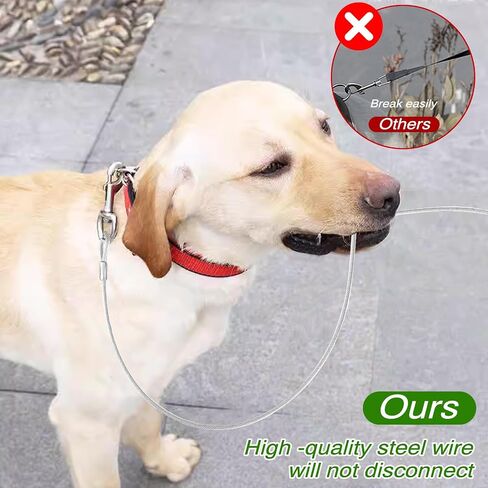 2 Pack Chew Proof Dog Leashes Extension Heavy Duty Dog Leash Extender, Metal Non-Tangle Connect Leash for Any Leash & Collar & Harness (Red+Clear) in Saudi Arabia