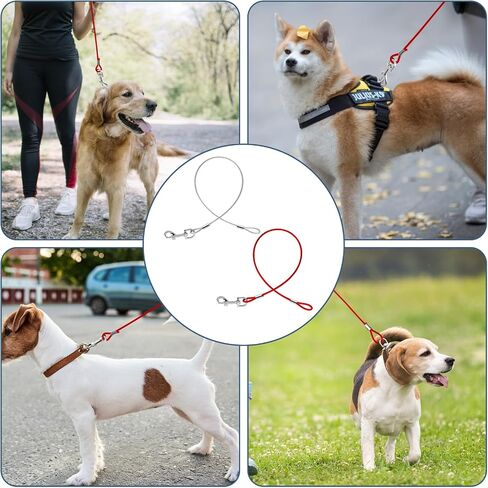 2 Pack Chew Proof Dog Leashes Extension Heavy Duty Dog Leash Extender, Metal Non-Tangle Connect Leash for Any Leash & Collar & Harness (Red+Clear) in Saudi Arabia