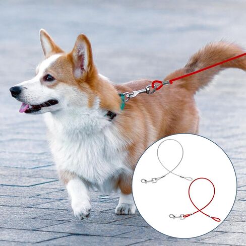 2 Pack Chew Proof Dog Leashes Extension Heavy Duty Dog Leash Extender, Metal Non-Tangle Connect Leash for Any Leash & Collar & Harness (Red+Clear) in Saudi Arabia